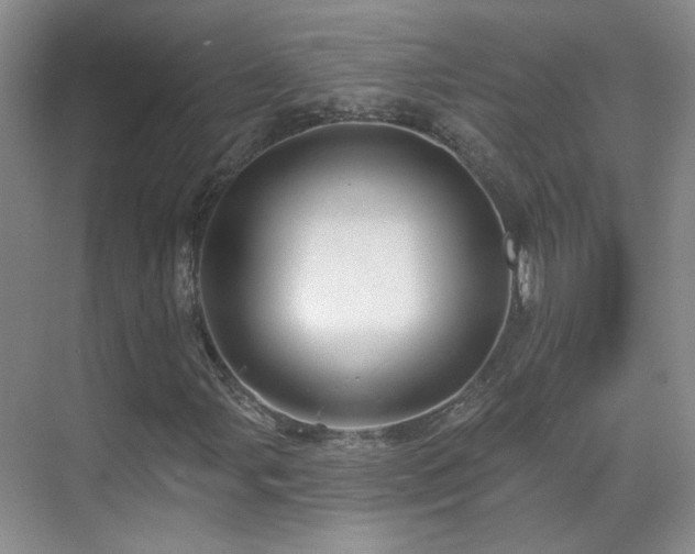 X0000070341107200606091019