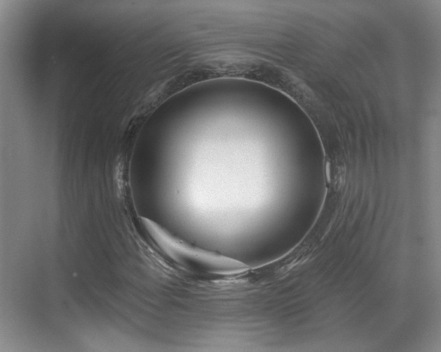 X0000070341108200606091019