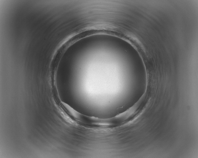 X0000070341114200606091019