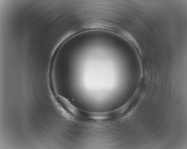 X0000070341138200606091019