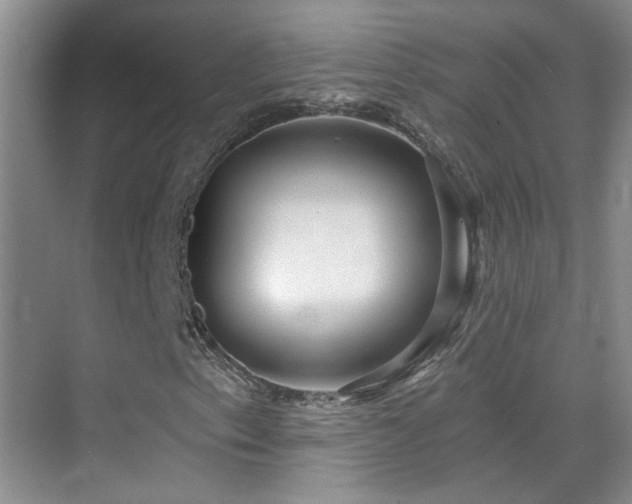 X0000070341153200606091019