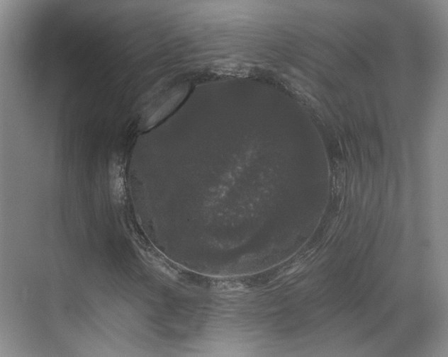 X0000070341154200606091019