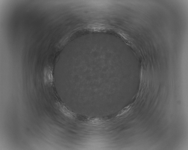 X0000070341155200606091019