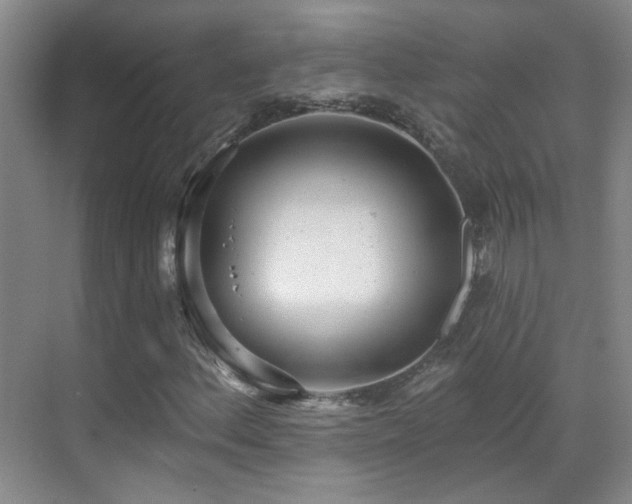 X0000070341156200606091019