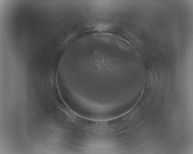 X0000070341158200606091019