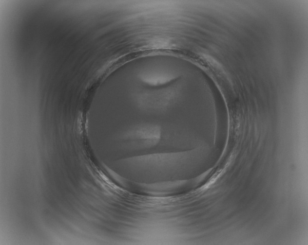 X0000070341161200606091019