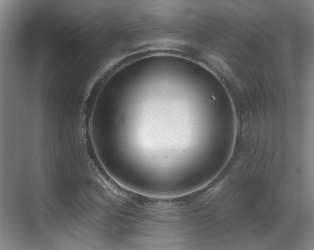 X0000070341164200606091018
