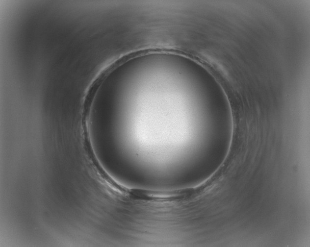X0000070341168200606091018