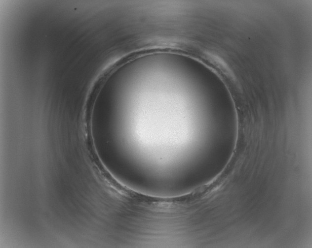X0000070341172200606091018