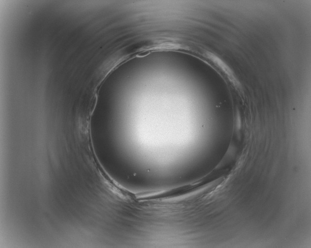 X0000070341193200606091018