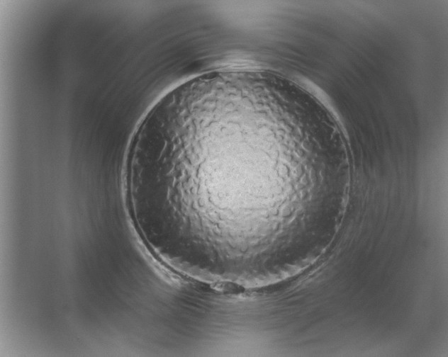 X0000070341195200606091018