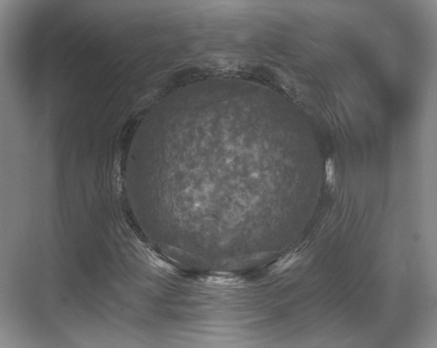 X0000070341203200606091017