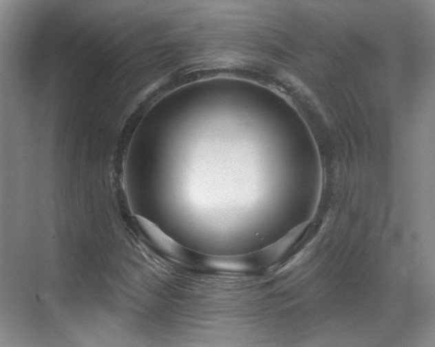 X0000070341210200606091017