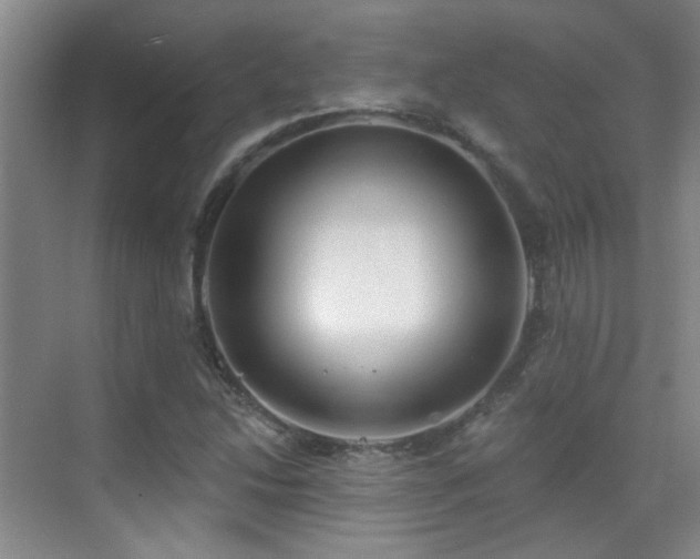 X0000070341214200606091017