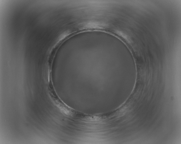 X0000070341219200606091017