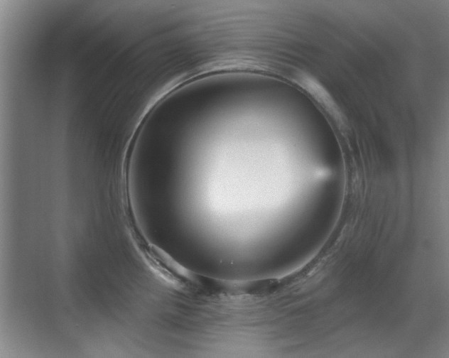 X0000070341242200606091018