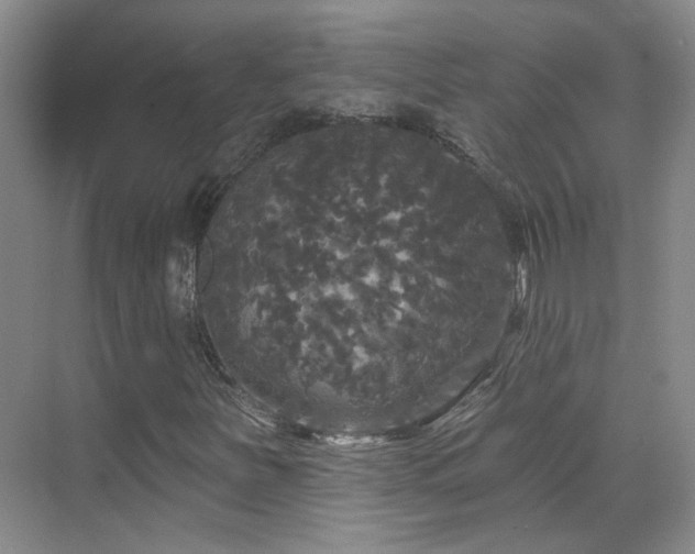 X0000070341251200606091017
