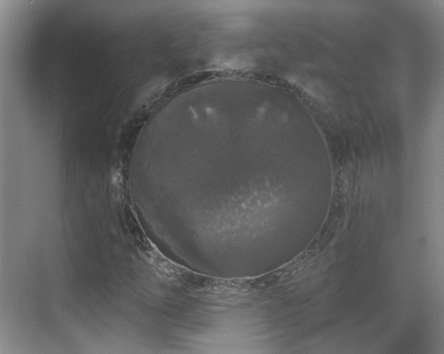 X0000070341254200606091017