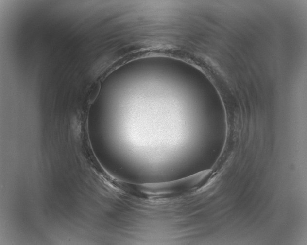 X0000070341257200606091017