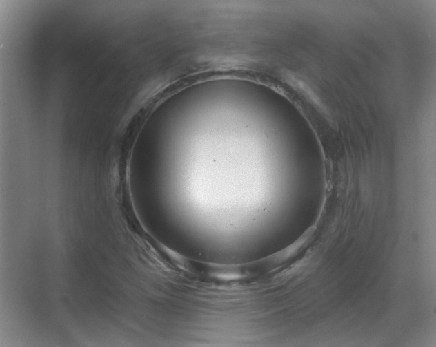 X0000070341261200606091017