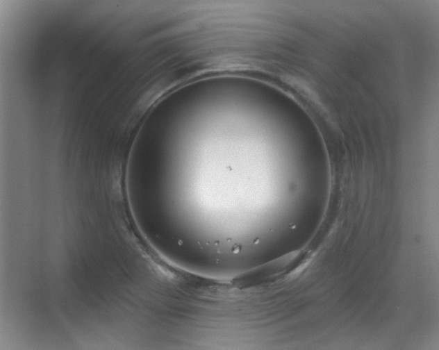 X0000070341273200606091017