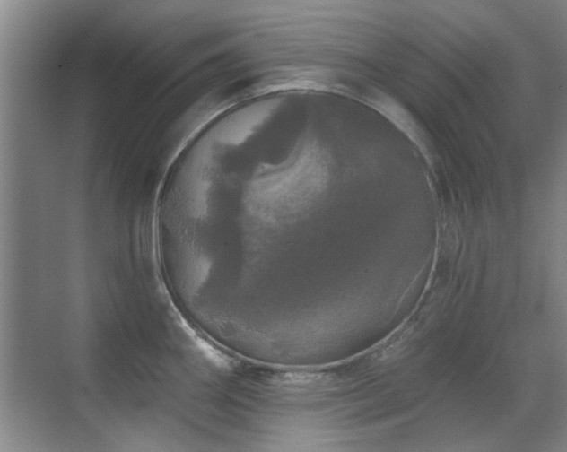 X0000070341290200606091016