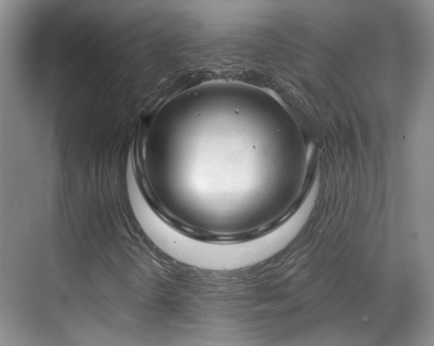 X0000070341298200606091015
