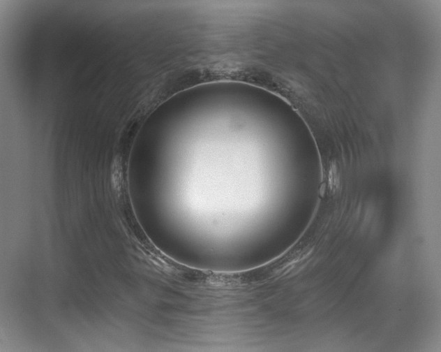 X0000070341299200606091015