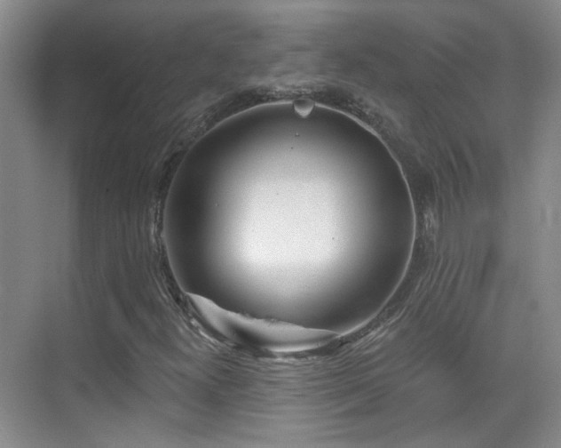 X0000070341300200606091015