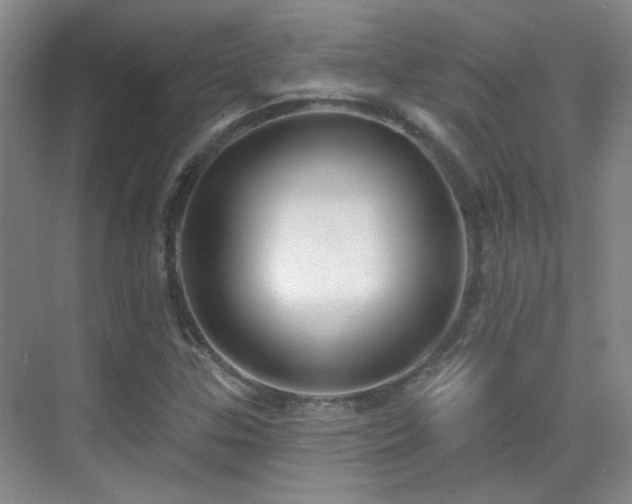 X0000070341307200606091016