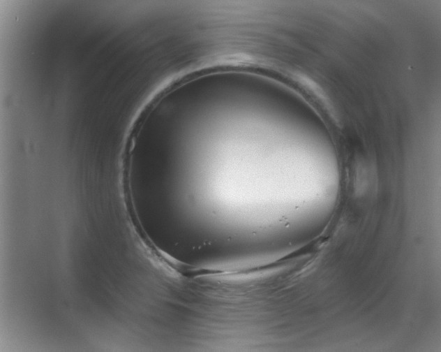 X0000070341326200606091016