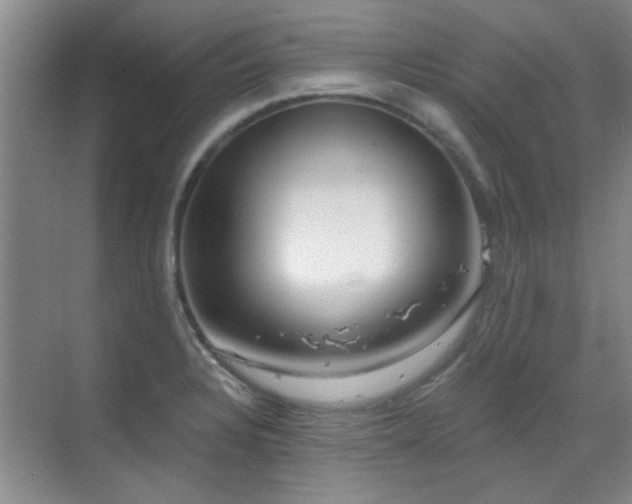 X0000070341328200606091016