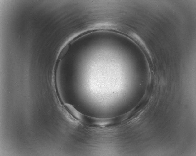 X0000070341336200606091016