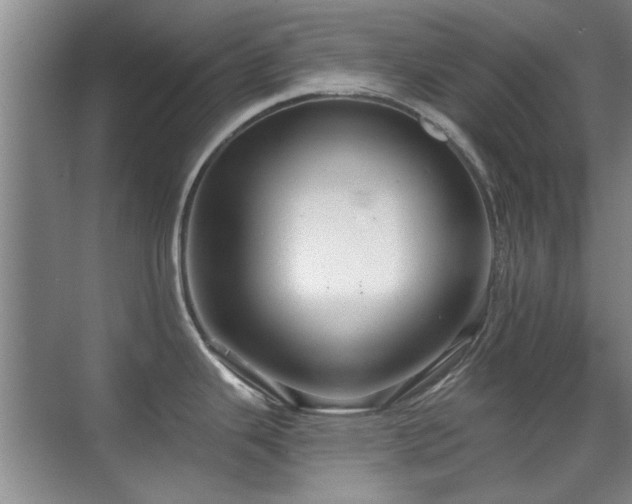 X0000070341343200606091016