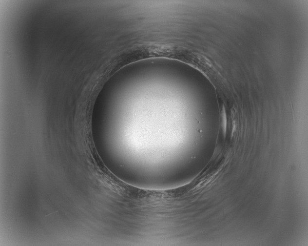X0000070341345200606091015