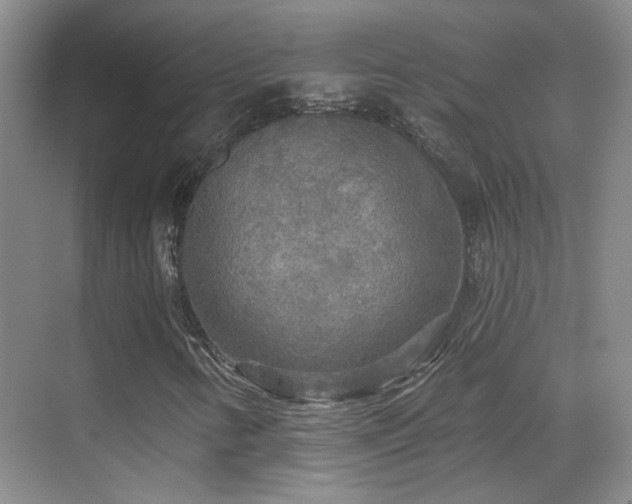X0000070341346200606091015
