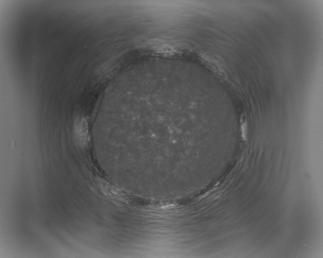X0000070341347200606091015