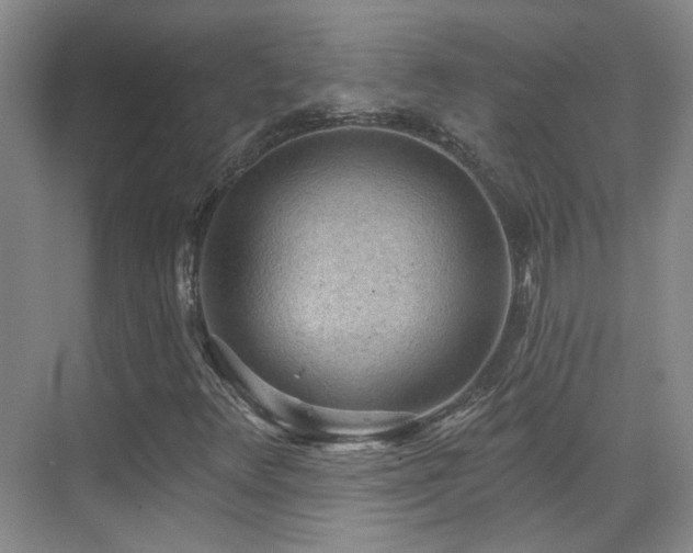 X0000070341348200606091015
