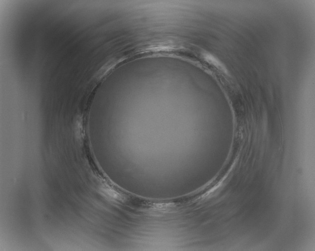X0000070341353200606091015