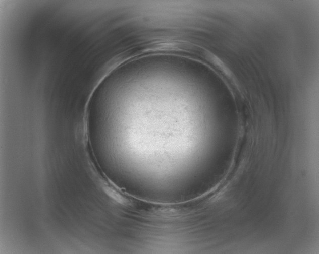 X0000070341370200606091015