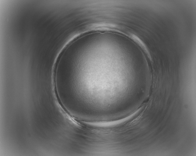 X0000070341384200606091015