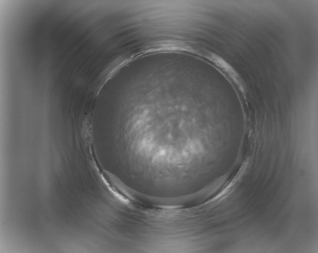 X0000070341385200606091015