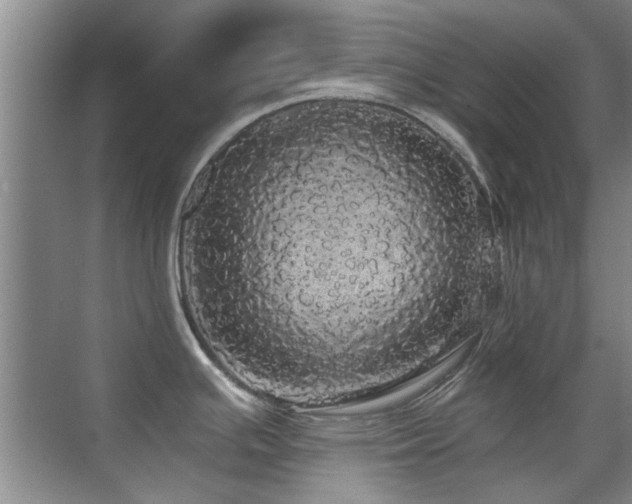 X0000070341391200606091015