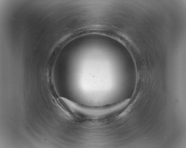 X0000070341402200606091014