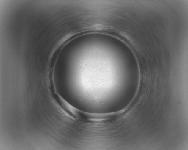 X0000070341410200606091014