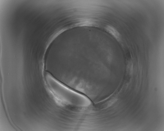 X0000070341418200606091014