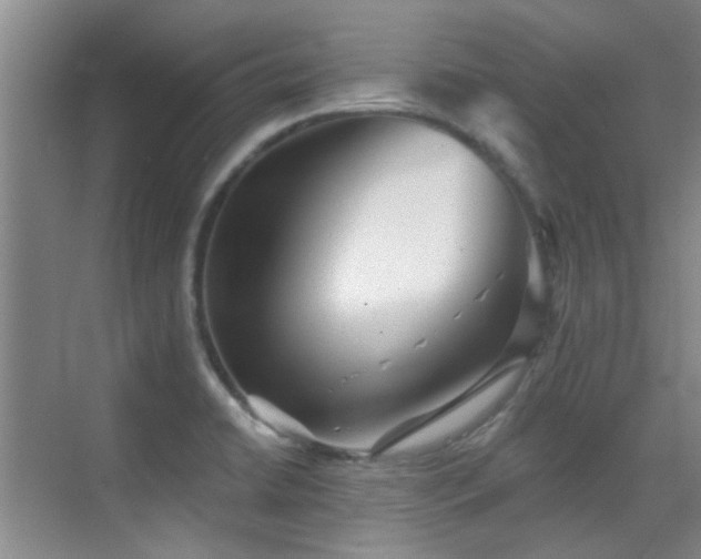 X0000070341422200606091014