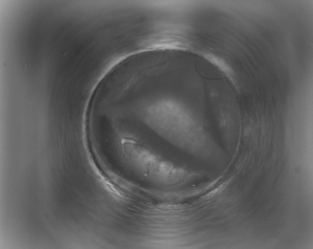 X0000070341423200606091014