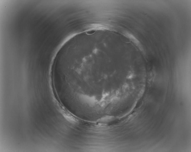 X0000070341427200606091014