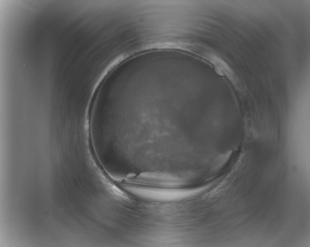 X0000070341428200606091014